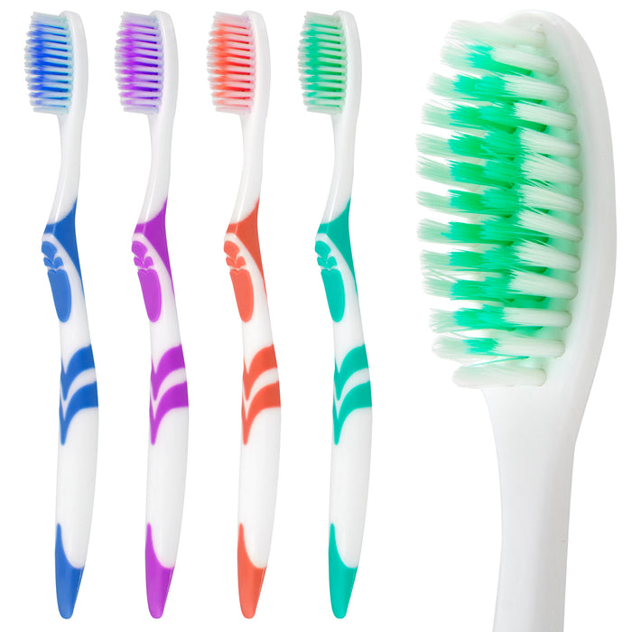 46 Bristle Head Adult Toothbrush - Assorted Colors - BagsInBulk.ca