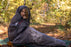 Wholesale Waterproof Cold Weather Sleeping Bags - 3 Colors